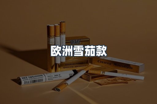 欧洲雪茄款